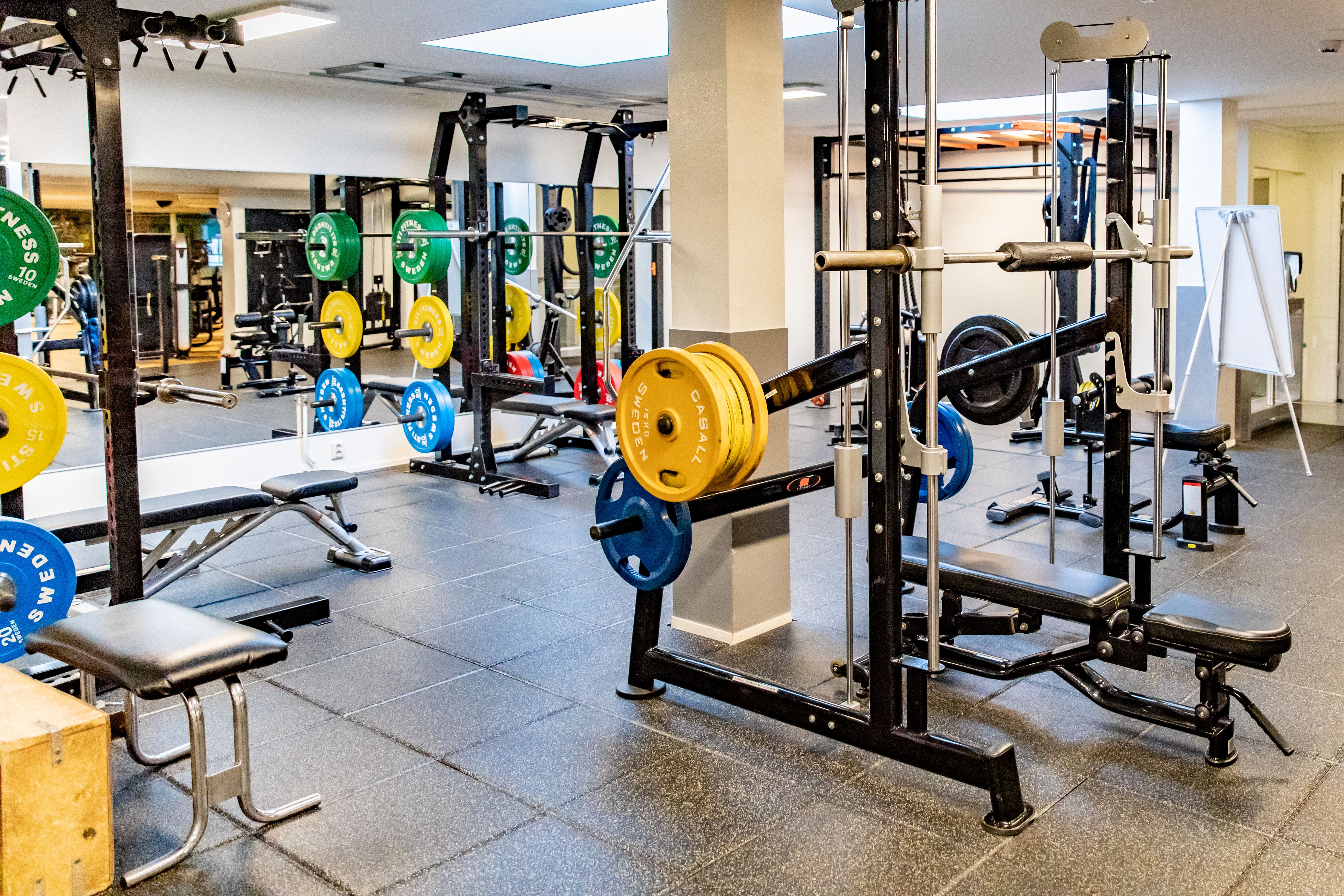 Inomhusgym med golvyta klädd i gummimatta,  skivstångs- och bänkpressstationer, vikter i olika färger.